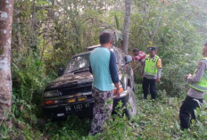 Diduga Ngantuk, Opel Blazer Tabrak Pohon Karet