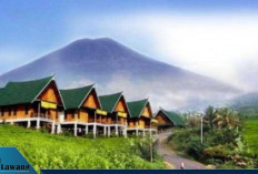 Lima Lokasi Terbaik yang Wajib Dikunjungi Saat Berwisata ke Gunung Dempo