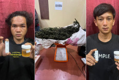 Ungkap Kasus Narkoba Polres Empat Lawang Lakukan Penggerebekan di Desa Sleman Ulu