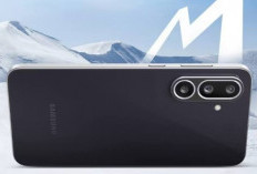 Samsung Galaxy M56 5G Resmi Rilis: Desain Elegan, Kamera Mumpuni, dan Performa Tangguh!