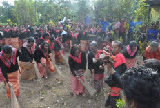 Ini 5 Ritual Upacara Adat Maluku yang Jadi Destinasi Wisata Budaya Unik, Ini Ulasannya!