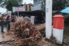 Palembang Diterpa Hujan Deras dan Angin Kencang 