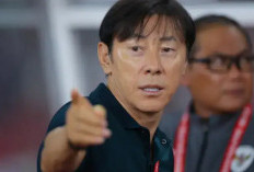 Timnas Indonesia Gagal di Piala AFF 2024: PSSI Fokus Evaluasi, Shin Tae-yong Masih Diberi Kepercayaan