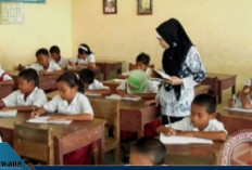 Guru Siap-Siap Dapat Transferan! TPG Triwulan IV Tahap 2 Cair November 2025, Nominal ASN dan Non-ASN Beda!