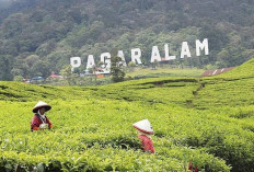 Melihat Lebih Deket Gunung Dempo, Ini 3 Mitos dan Misteri yang Melegenda di Pagaralam