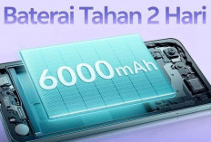 Vivo Y04s: Ponsel Rp1 Jutaan yang Punya Segalanya? Ini Ulasan Lengkapnya!