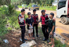 Pelaku Premanisme Bersenjata Tajam  Diamankan