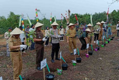 Dukungan Bibit dan Pupuk Tingkatkan Produktivitas Kopi