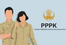 Banyak yang Nggak Tau, Ini Aturan Kelulusan dan Perangkingan PPPK 2024 yang Wajib Diketahui