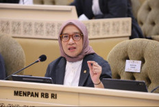 PPPK Paruh Waktu Berpeluang Diangkat Bertahap, MenPAN-RB: Disesuaikan Kinerja dan Anggaran