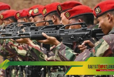 Deretan Pasukan Khusus TNI, Pilar Pertahanan NKRI yang Siap di Medan Tempur