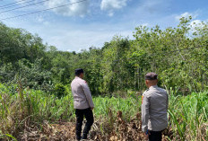 Polsek Tebing Tinggi Lakukan Pantauan Hotspot Karhutlah