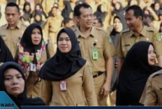 Kabar Baik Guru Honorer! Insentif 2026 Resmi Naik Jadi Rp400 Ribu, Tapi Tenaga Administrasi Juga Minta Diperha