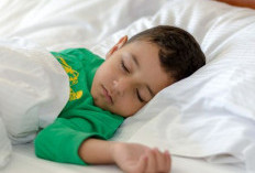 5 Manfaat Tidur Siang untuk Anak, Bisa Dukung Proses Belajar