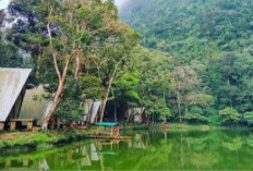 Liburan Lebaran Murah! Hanya 1 Jam dari Bogor, Tiket ke Telaga Warna Mulai Rp 15.000