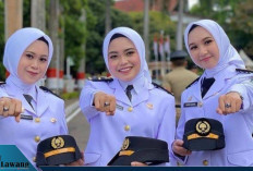 Incar Karier CPNS! Ini 8 Sekolah Kedinasan Paling Diminati 2025, Syarat & Dokumen Wajib Daftar
