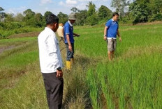 Lapas Laksanakan Kegiatan SAE untuk Warga Binaan