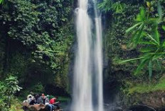 Melihat Air Terjun Curup Lungkuk, Destinasi Wisata Tersembunyi di OKU Selatan yang Wajib Dikunjungi