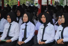 Seleksi PPPK 2024 Tahap 2: Tanpa Passing Grade, Kelulusan Ditentukan Berdasarkan Peringkat Nilai