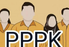 Gaji PPPK 2025 Naik, Ini Rinciannya Sesuai Pendidikan dan Golongan