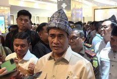 Kementan Upayakan Sumsel Masuk Tiga Besar Lumbung Pangan Nasional