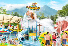 Liburan Seru di The Jungle Waterpark Bogor, Hadiah Menarik dan Wahana Baru Menanti!