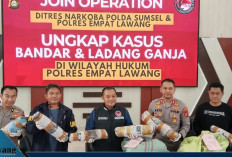 Dirresnarkoba Polda Sumsel dan Polres Empat Lawang Bongkar Bandar dan Ladang Ganja 3 Hektar
