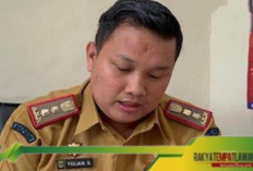 Ratusan Pelamar CPNS Tersingkir: Apa Penyebabnya?