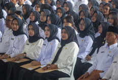 BKN Tetapkan Jadwal Resmi Penetapan NIP dan Pengangkatan CPNS-PPPK 2024 di Tahun 2025