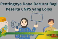 BKN Imbau Peserta CPNS Siapkan Dana Darurat, Ini Alasannya!