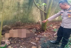 Kerangka Manusia Ditemukan di Eks Gudang Semen Baturaja Portland Cemens di Palembang