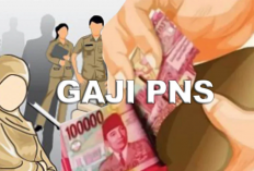 Gaji PNS Februari 2025: Kenaikan Signifikan dengan Tunjangan Tambahan