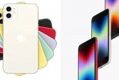 iPhone Murah Akhir Mei 2025! Harga iPhone SE 3 dan iPhone 11 Anjlok, Cuma Rp 6 Jutaan!
