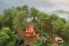Liburan ke Batu? Kamu Wajib Kunjungi Spot Instagramable Ini!