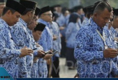 Jalur Resmi Jadi Guru ASN 2025: PPG, PPPK, hingga Peluang Upgrade Menjadi PNS