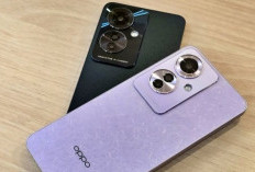 Oppo Reno 11 F 5G Resmi Hadir: Tipis, Tahan Air, dan Punya Layar Premium