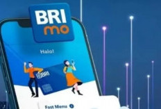 Nasabah Manfaatkan Brimo untuk Pembayaran Listrik 24 Jam dengan Mudah