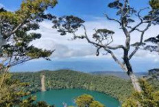 Liburan Seru di Alam: 9 Danau Cantik di Jambi Ini Cocok untuk Wisata Keluarga