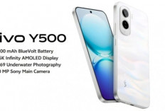 Vivo Y500 Meluncur Global, Usung Baterai 8.100 mAh dan Layar AMOLED 1,5K