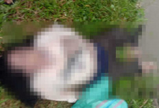 Mayat Perempuan Ditemukan Mengambang Misterius di Saluran Irigasi