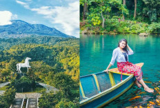 3 Wisata Alam Kuningan yang Wajib Dikunjungi: Tempat Instagramable dengan Pemandangan Spektakuler!