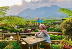 Keren Banget, Ini 6 Rekomendasi Wisata Budaya di Malang