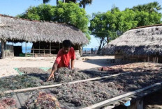 Desa Kaliuda di Sumba Timur Jadi Desa Percontohan Program Ekosistem Keuangan Inklusi