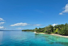 Pantainya Pernah Dinobatkan Terindah di Indonesia, Ini Destinasi Wisata Wajib Saat Berkunjung ke Ambon