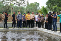 Dorong Ketahanan Pangan Lokal
