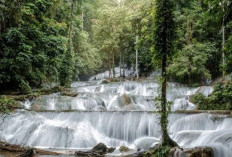 Menyaksikan Keindahan Alam Sulawesi: Air Terjun Moramo