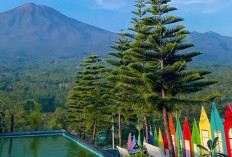 5 Rekomendasi Wisata Menarik di Pemalang yang Wajib Dikunjungi