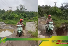 Kondisi Memprihatinkan: Jalan Desa Batu Raja - Sugiwaras Tergerus Air Musi semakin parah!