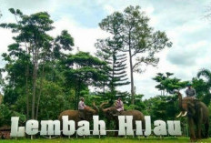 Lengkung Langit dan Lembah Hijau Dibanjiri Wisatawan Selama Libur Lebaran