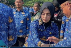 Perbandingan TPG Guru ASN, PPPK Full Time, dan PPPK Paruh Waktu — Siapa Sebenarnya Paling Diuntungkan?